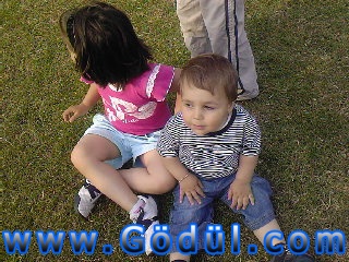 Photo-0013
